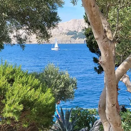 Zvijezda Διαμέρισμα