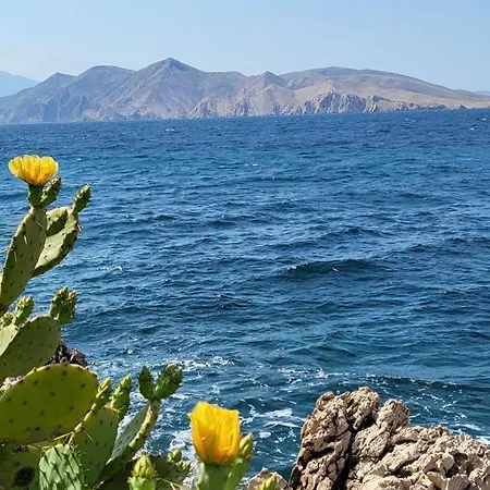 Zvijezda Baska (Krk)