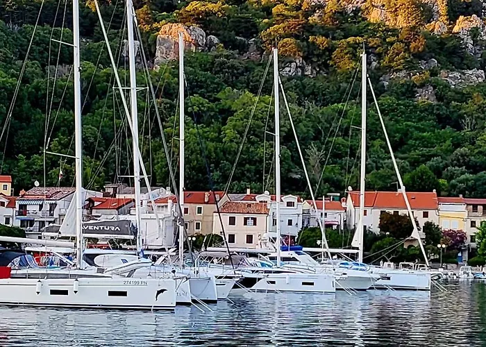 Zvijezda *