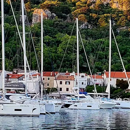 Zvijezda *