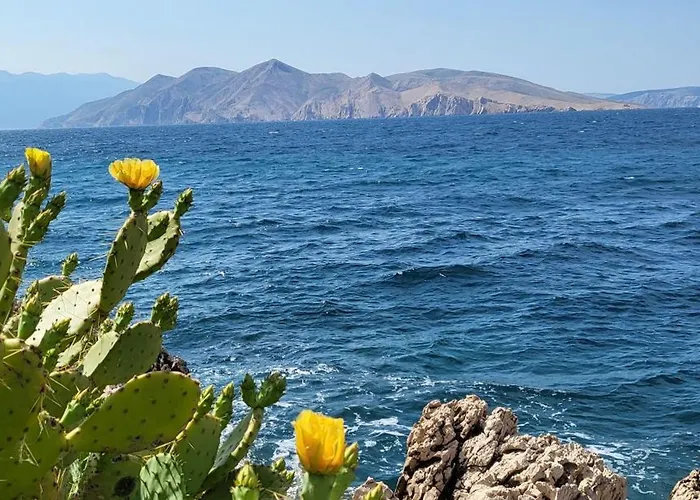 Zvijezda Baška