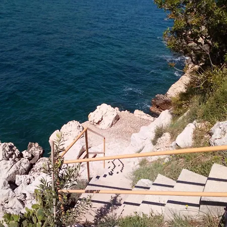 Zvijezda Baška